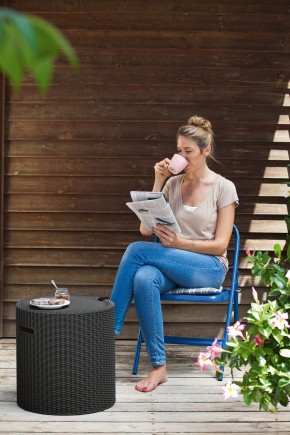 Столик-холодильник Кул-Стул (Cool stool) графит в Урае - uray.mebel24.online | фото 1