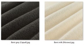 Стул Роджер Эконом (4 шт.) арт. С102-2 в Урае - uray.mebel24.online | фото 36