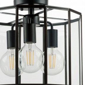Светильник на штанге Lightstar Genni 798237 в Урае - uray.mebel24.online | фото 4