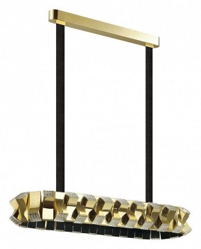 Светильник на штанге Odeon Light Asturo 4993/80LA в Урае - uray.mebel24.online | фото 3