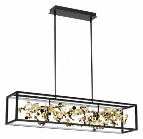 Светильник на штанге Odeon Light Bild 5065/65L в Урае - uray.mebel24.online | фото