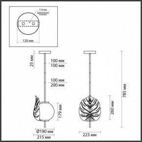 Светильник на штанге Odeon Light Jungle 4864/1 в Урае - uray.mebel24.online | фото 3