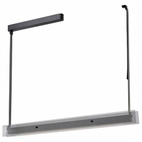 Светильник на штанге Wertmark Kuno WE435.12.023 в Урае - uray.mebel24.online | фото