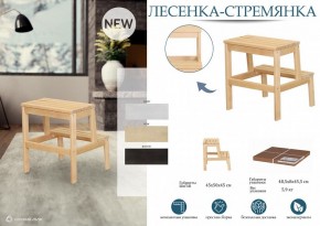 Табурет Стремянка в Урае - uray.mebel24.online | фото 3