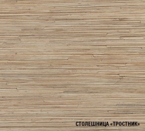 ТОМИЛЛА Кухонный гарнитур Прайм 4 (900*2000 мм ) в Урае - uray.mebel24.online | фото 6