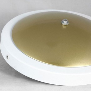 Торшер Lussole LSP-062 LSP-0625 в Урае - uray.mebel24.online | фото 2
