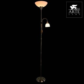 Торшер с подсветкой Arte Lamp Duetto A9569PN-2AB в Урае - uray.mebel24.online | фото 3