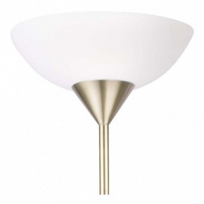 Торшер с подсветкой Arte Lamp Duetto A9569PN-2AB в Урае - uray.mebel24.online | фото 5