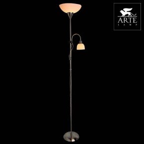 Торшер с подсветкой Arte Lamp Duetto A9569PN-2SS в Урае - uray.mebel24.online | фото 3