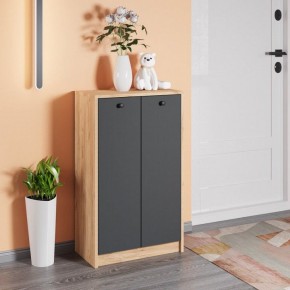 Тумба для обуви Рино в Урае - uray.mebel24.online | фото 3