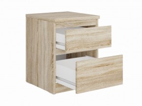 Тумба КАСТОР малая с двумя ящиками, цвет Дуб Сонома в Урае - uray.mebel24.online | фото 2