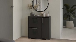 Тумбочка для обуви Тип 15 в Урае - uray.mebel24.online | фото 5