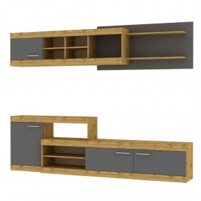 ТВ стенка TV53 (ДВ-Графит) в Урае - uray.mebel24.online | фото