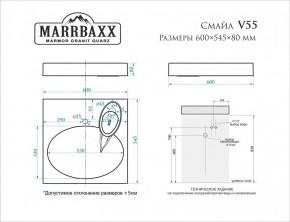 Умывальник над стиральной машиной (600*545*80) Смайл V55D1 (белый) с кронштейном без сифона (V55D1) в Урае - uray.mebel24.online | фото 2